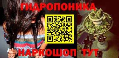 твердый Севастополь