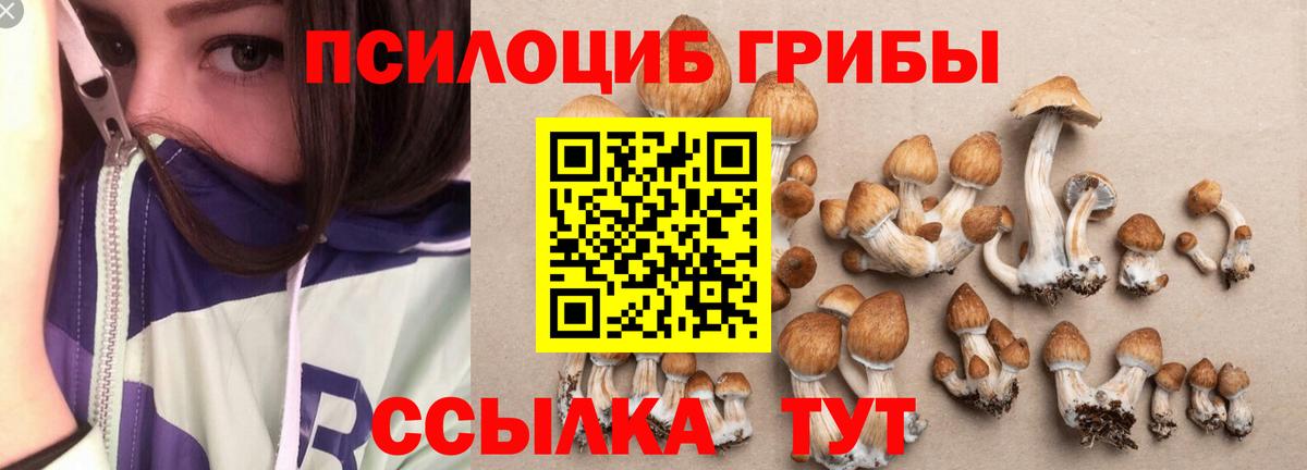 Сафоново  Псилоцибиновые грибы Cubensis  Галлюциногенные грибы Magic Shrooms  Вход с VPN 